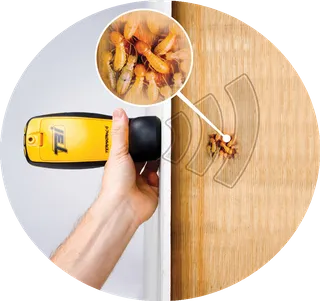 Residential Pest Control