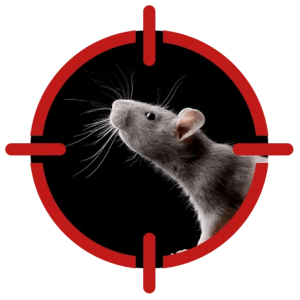 Pest Inspections