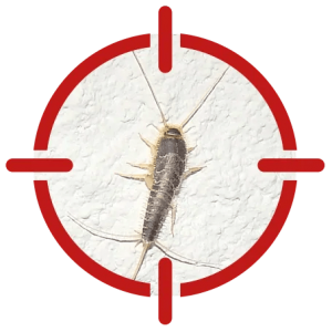 silverfish-1280w Image of a silverfish