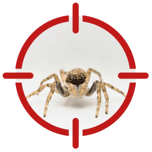 Residential Pest Control