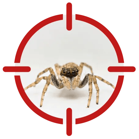 Residential Pest Control