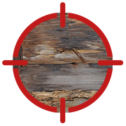 TERMITE INSPECTION & PEST CONTROL