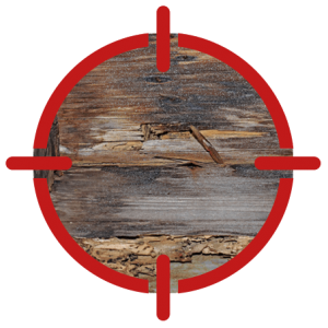 TERMITE INSPECTION & PEST CONTROL