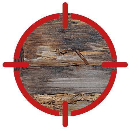 TERMITE INSPECTION & PEST CONTROL