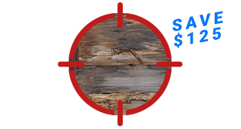 TERMITE INSPECTION & PEST CONTROL