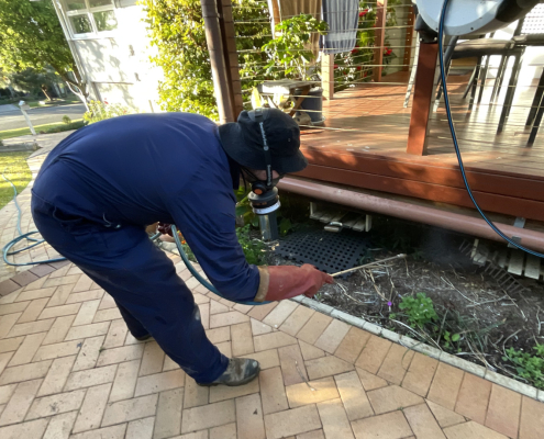 pest control services Jimboomba