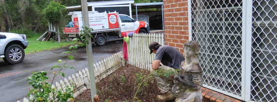 termite treatment Sunshine Coast