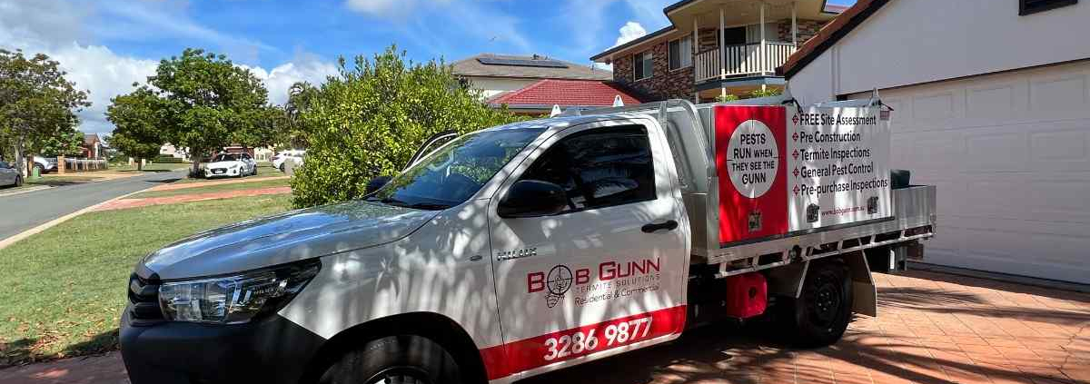 pest control services in Scenic Rim