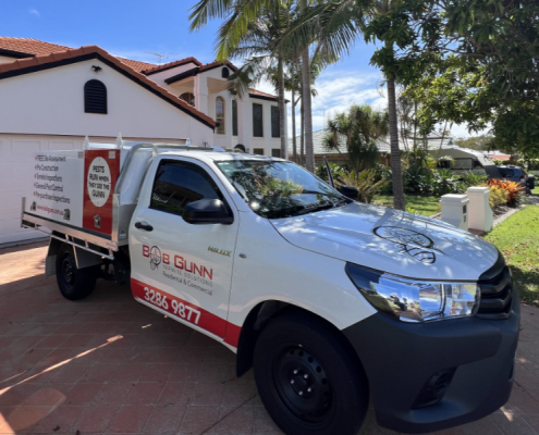 Pest Control Services Jimboomba