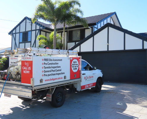Rodent control services