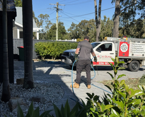 rodent control inspection