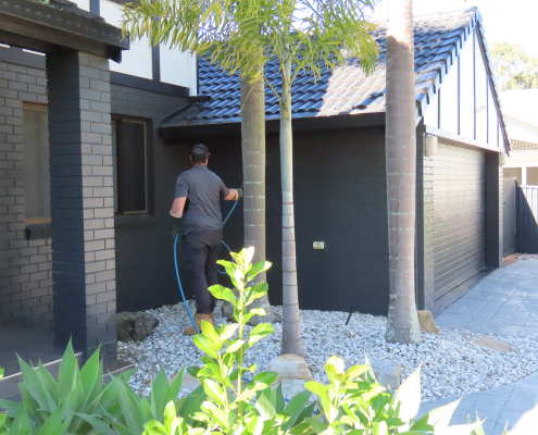 rodent control services