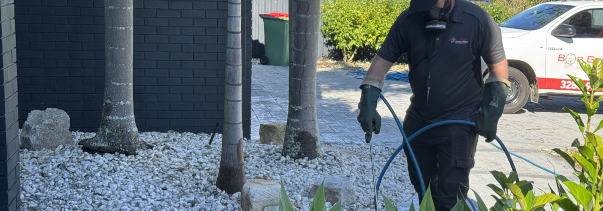 Rat control services