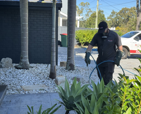 Rat control services