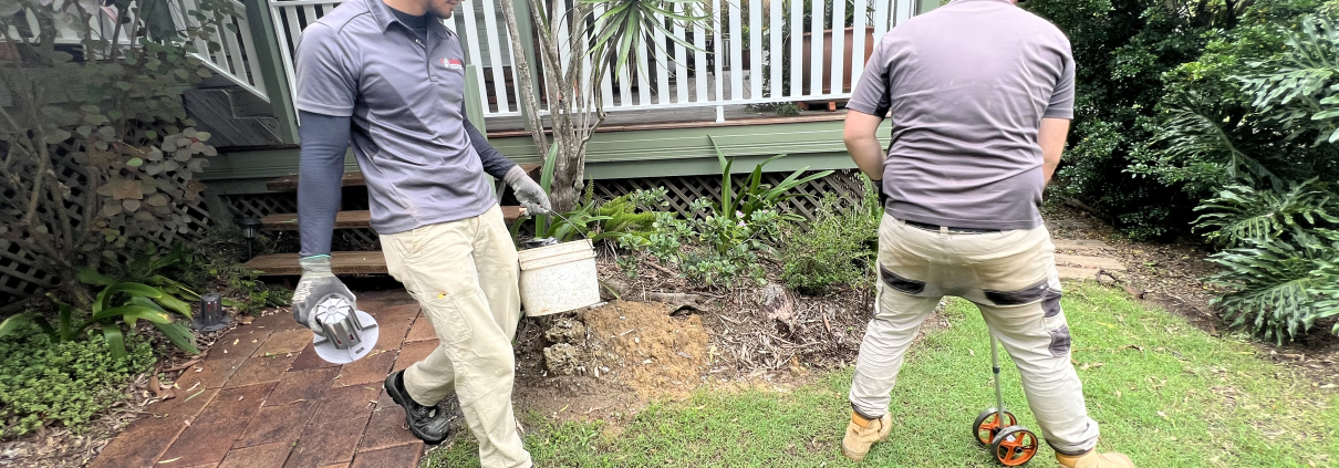 termite treatment services