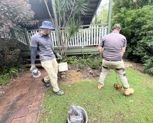 termite treatment services