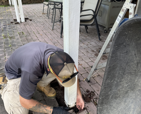Residential termite control services