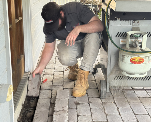 termite treatment services