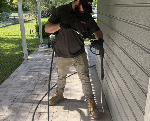 Termite Treatment Brisbane