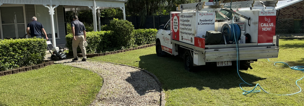 residential termite treatment
