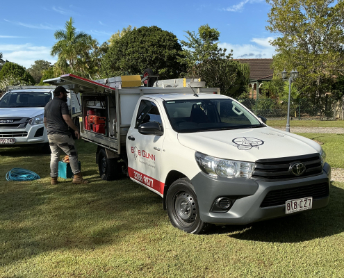 Termite inspection services