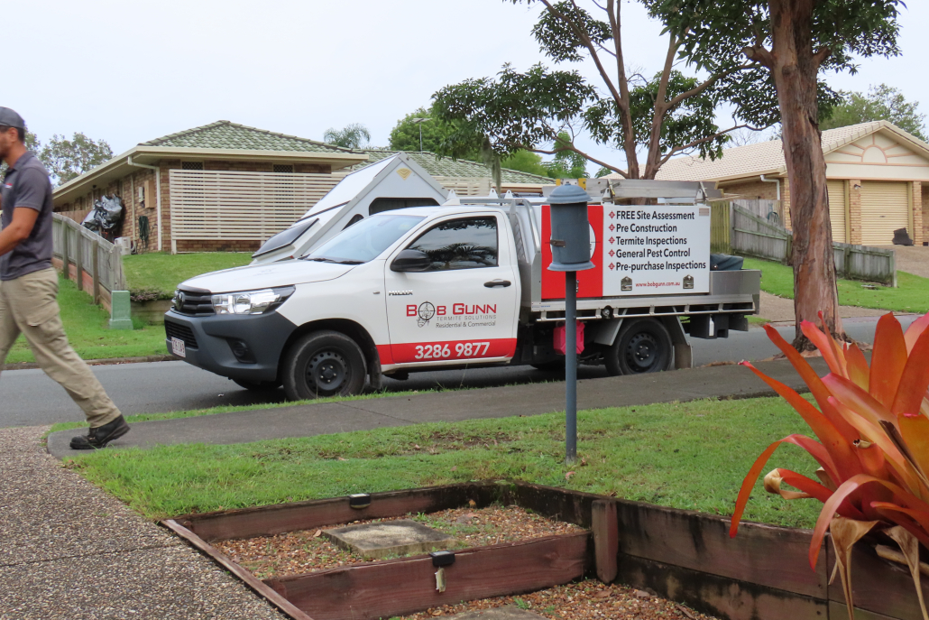 Are Annual Termite Inspections Worth It? Here’s What You Should Know