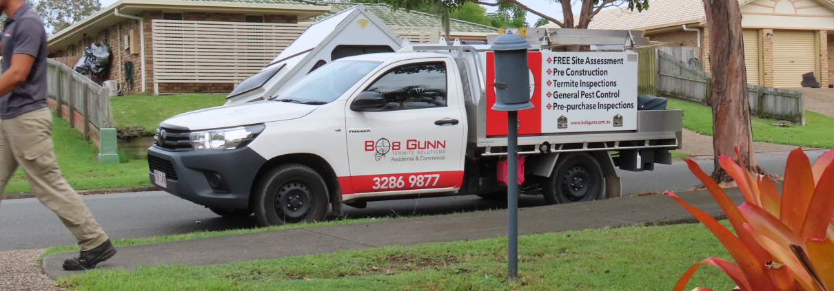 termite treatment