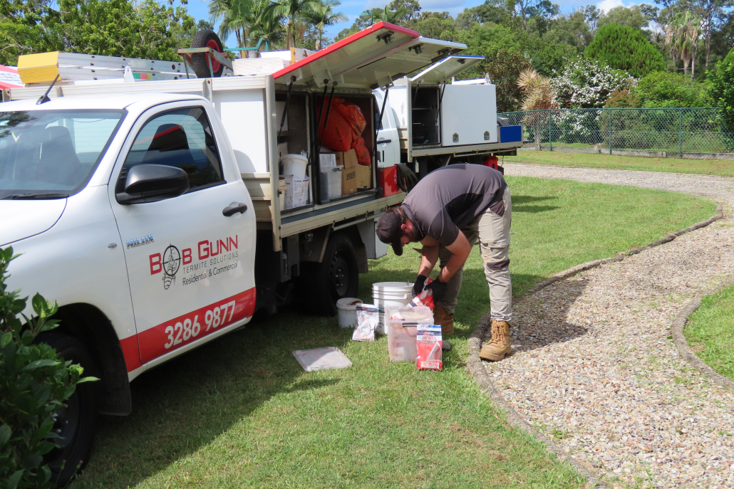 What Happens If You Delay Termite Inspections in Brisbane?