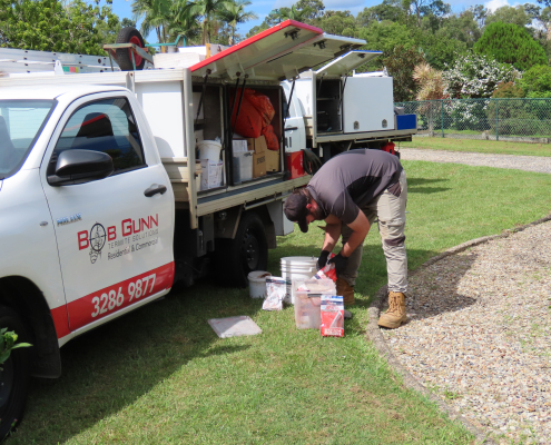 termite control